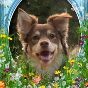 Meet your Posher, Vicky